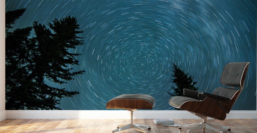 Star Trails of Northern Minnesota Wall Murals