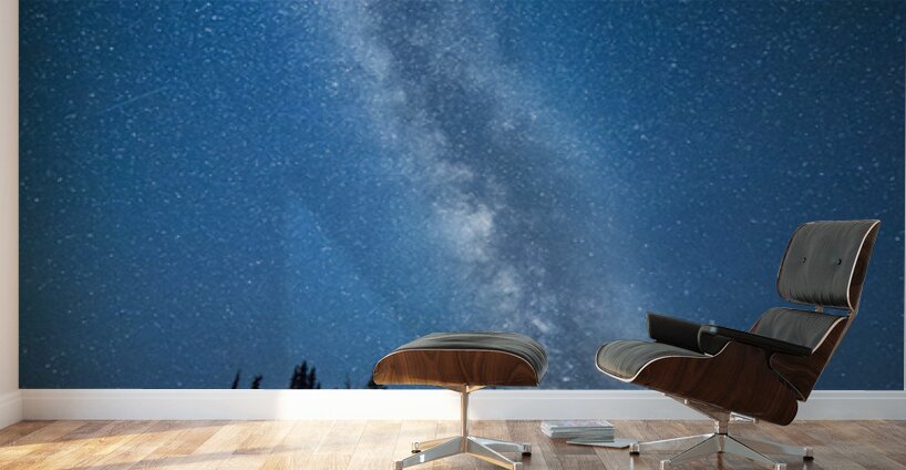 Minnesota North Shore Star Gazing Wall Murals