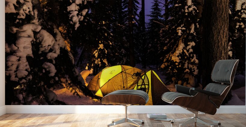 Winter Camping Under the Stars in Minnesota Wall Murals