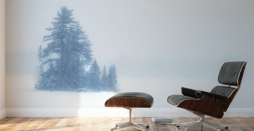 Snowy Frozen Minnesota Island Wall Murals