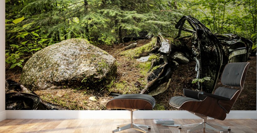 Boulder Car in Nature Wall Murals
