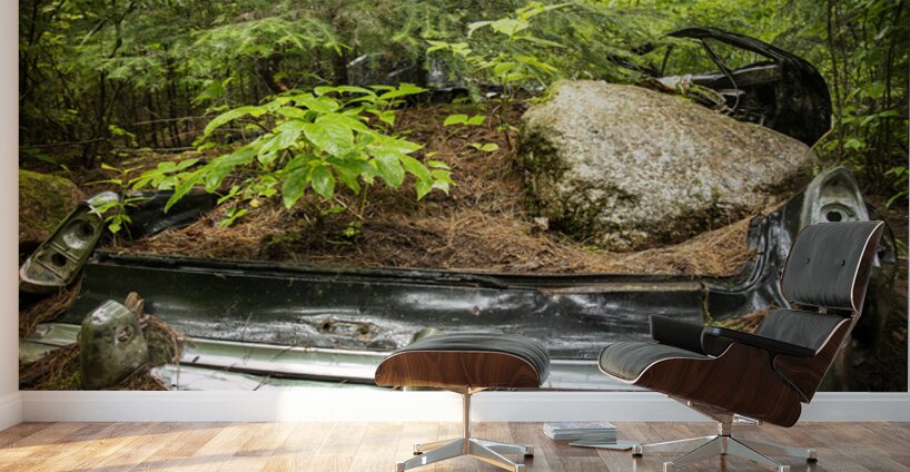 Car with Boulder in Nature Wall Murals