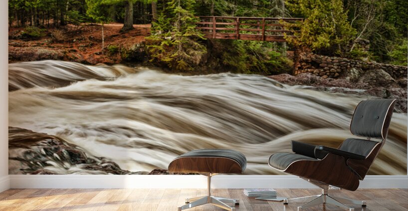 The Mighty Amnicon Rages Wall Murals