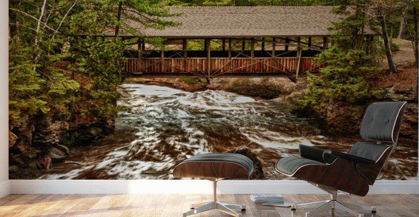A Bridge Over the Mighty Amnicon River Wall Murals