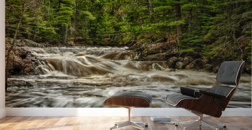 Anicon Falls State Park River Wall Murals