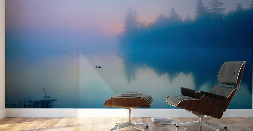 Foggy Sunrise Boundary Waters Minnesota Wall Murals