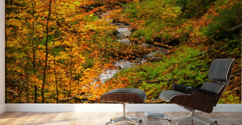 Fall in Munising Michigan Wall Murals