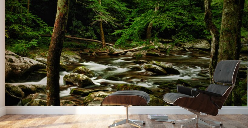 Smoky Mountain Stream Tennessee Wall Murals