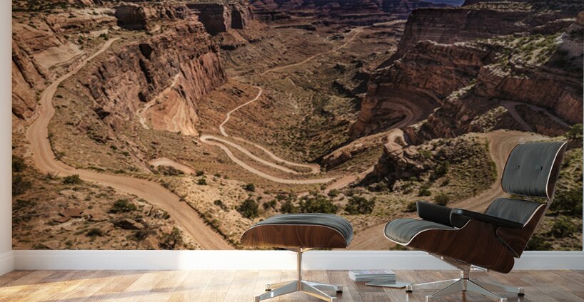 Schafer Road Canyonlands National Park Wall Murals