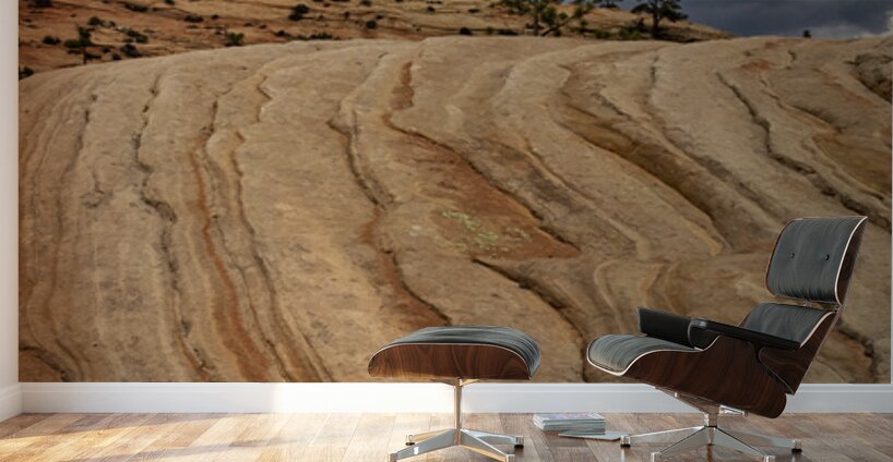 Zion to the Sky Wall Murals