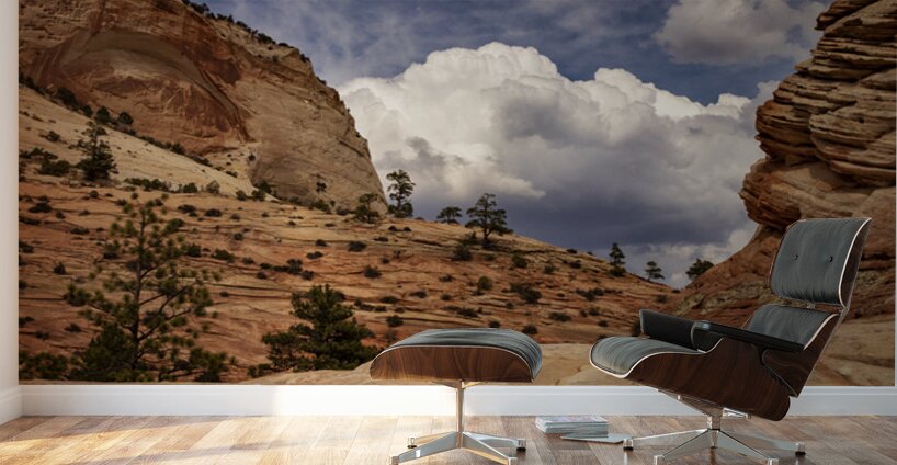Zion National Park Window to Heaven Wall Murals