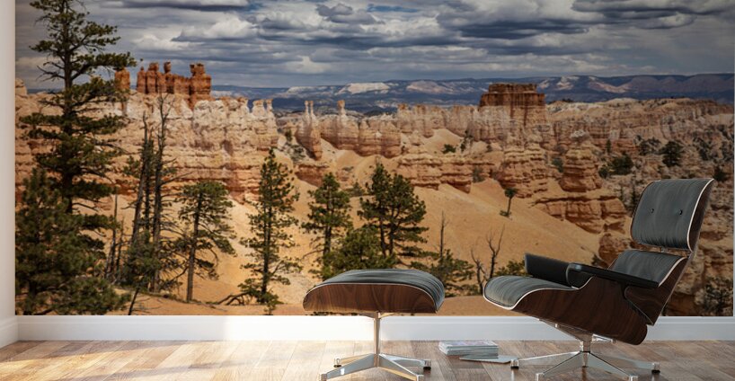Bryce Canyon National Park Vista Wall Murals
