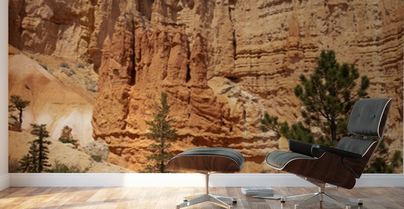 Bryce Canyon National Park Castle Window Wall Murals