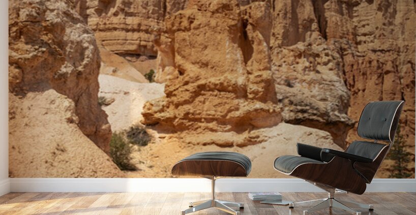 Bryce Canyon National Park Towers Wall Murals