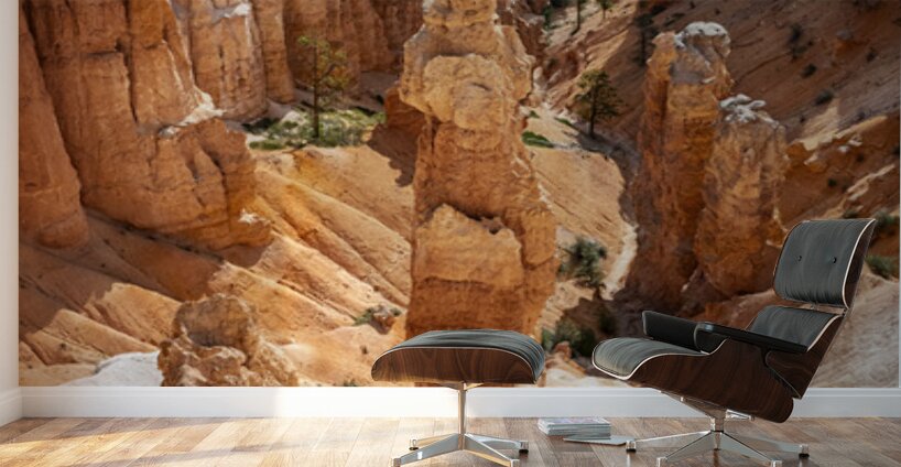 Bryce Canyon National Park Funnel Wall Murals