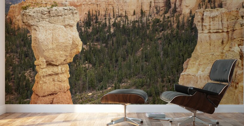 Bryce Canyon National Park Window Wall Murals