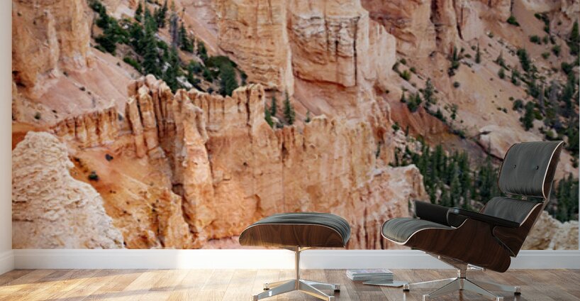 Bryce Canyon National Park Canyon Wall Murals