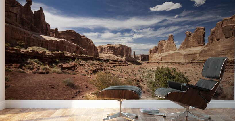 Arches National Park Wall Street Wall Murals