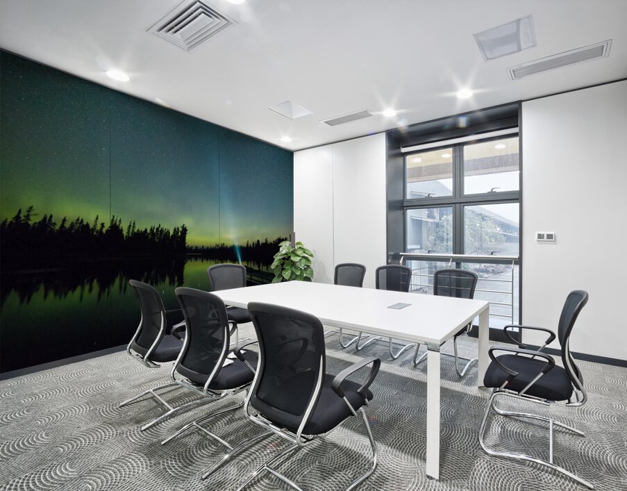 Northern Lights In Action Wall Printing