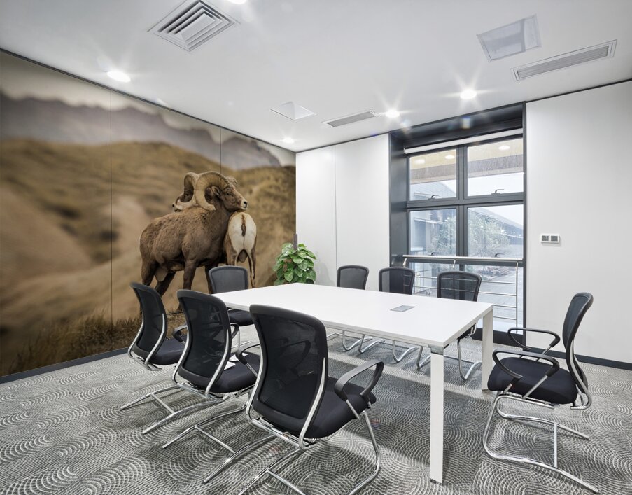 Big Horn Sheep Standoff Wall Printing