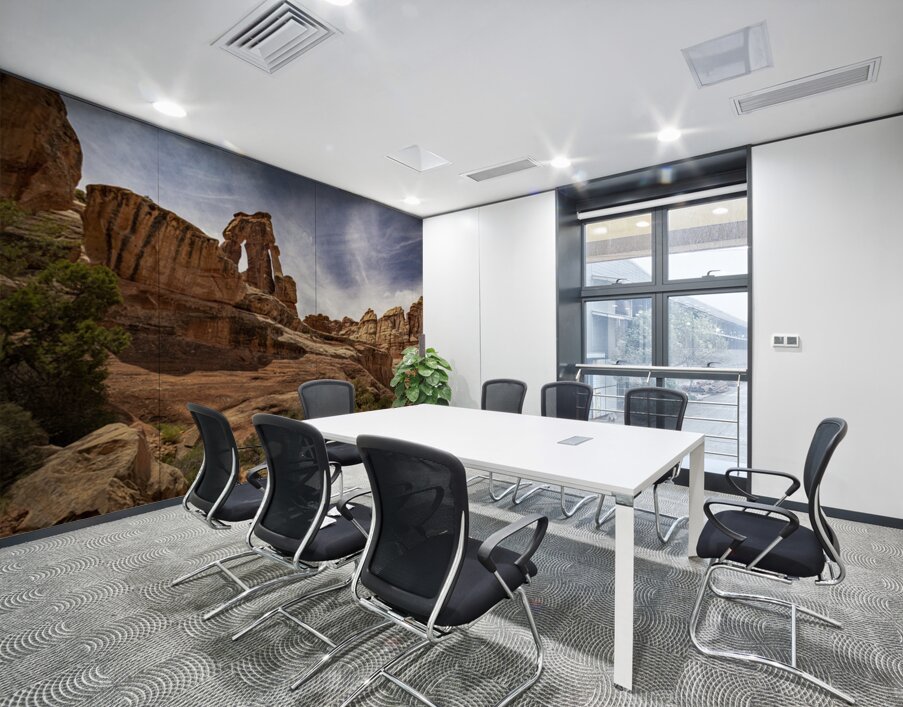 Druid Arch Canyonlands Wall Printing