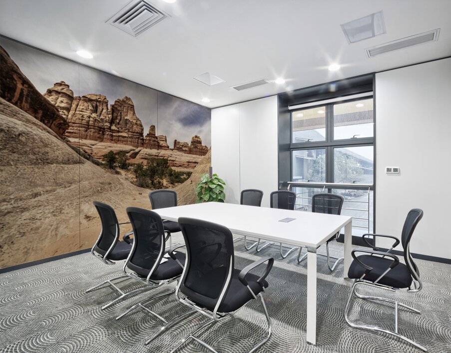 Canyonlands Half Pipe Wall Printing