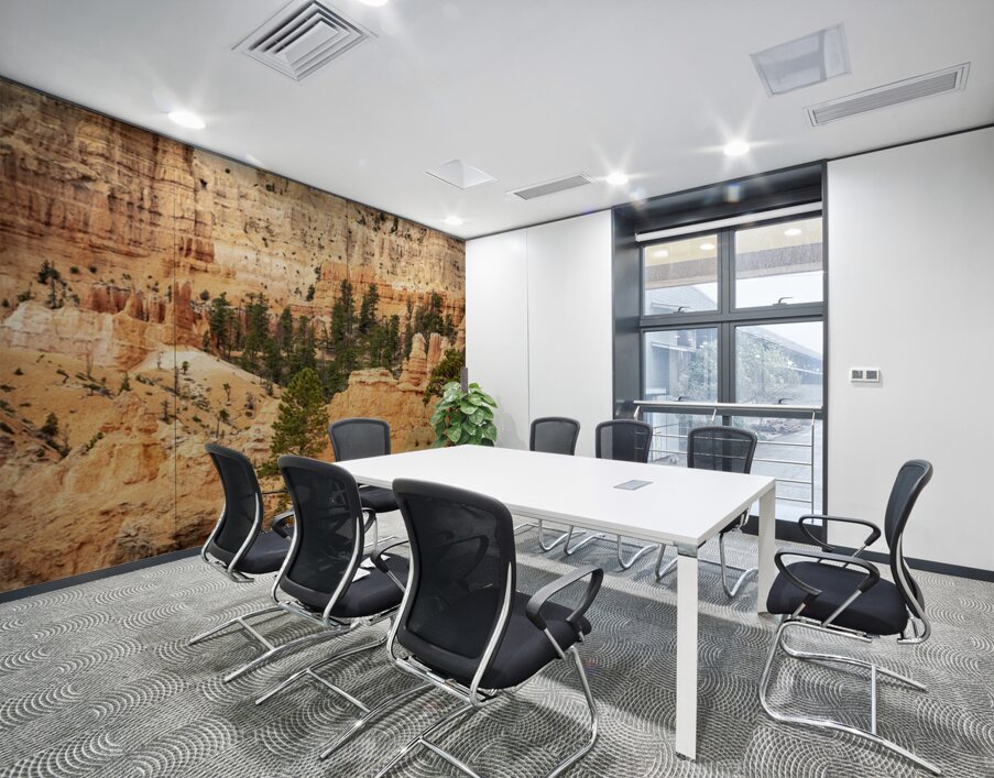 The Pathways of Bryce Wall Printing