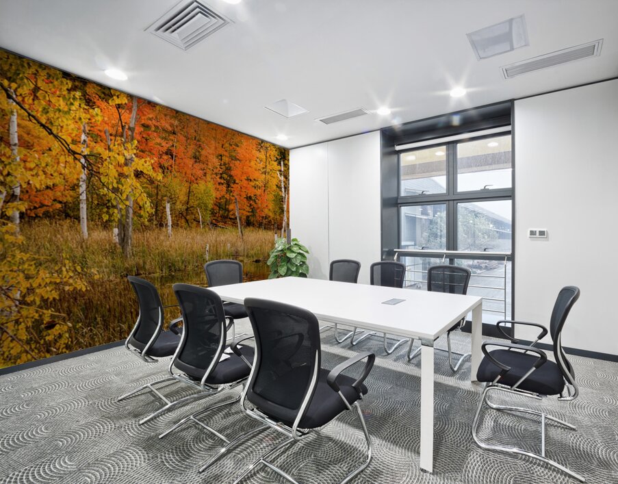 Fall of Colors Wall Printing