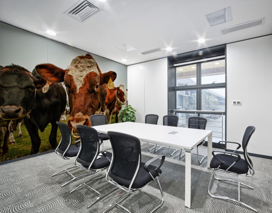 Wisconsin Cows Wall Printing