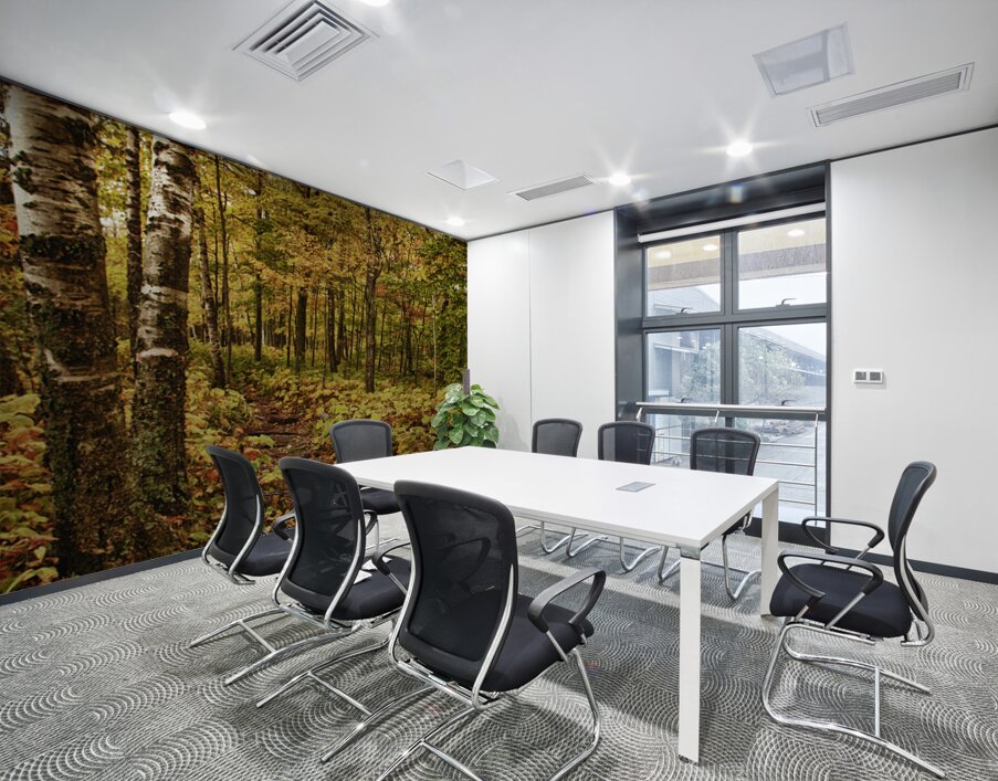 Wisconsin Fall Walk Wall Printing