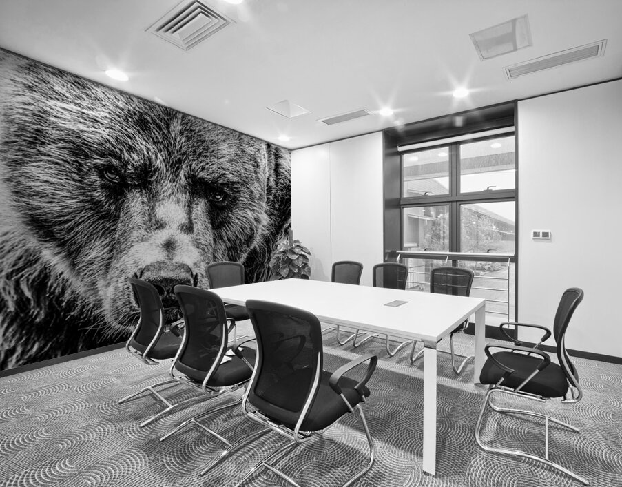 Grizzly Stare B&W Wall Printing
