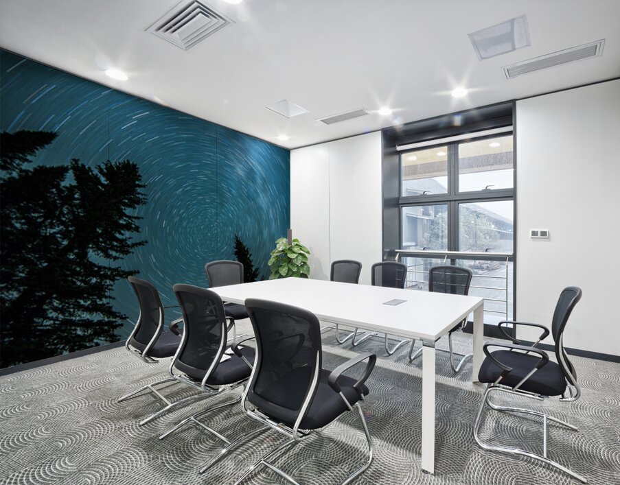 Star Trails of Northern Minnesota Wall Printing