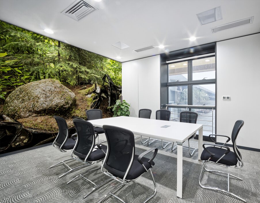 Boulder Car in Nature Wall Printing