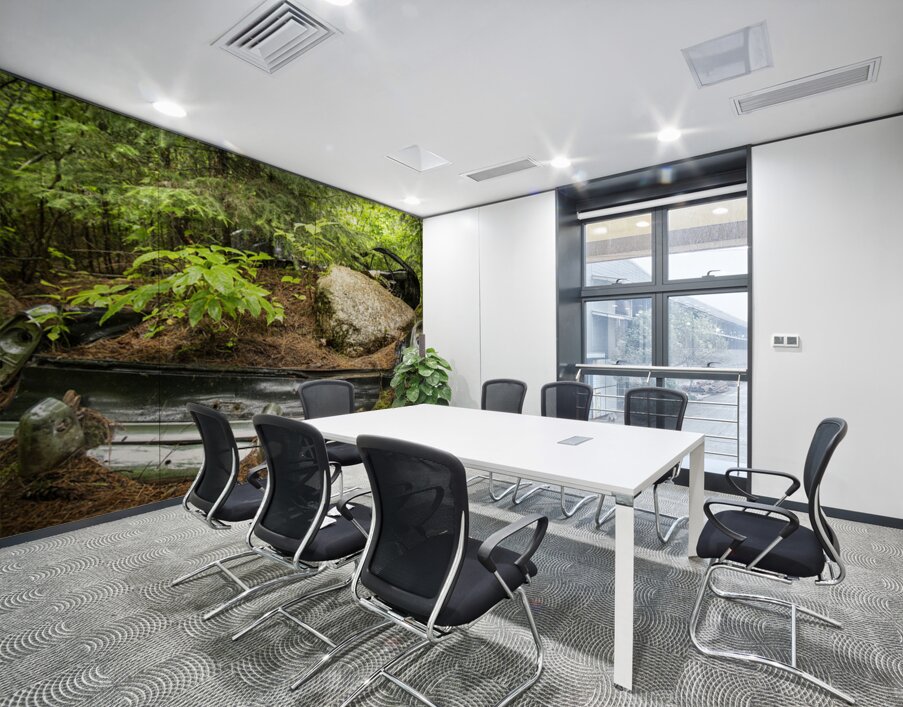 Car with Boulder in Nature Wall Printing