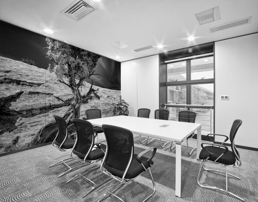 Weathered Juniper in Arches National Park Wall Printing