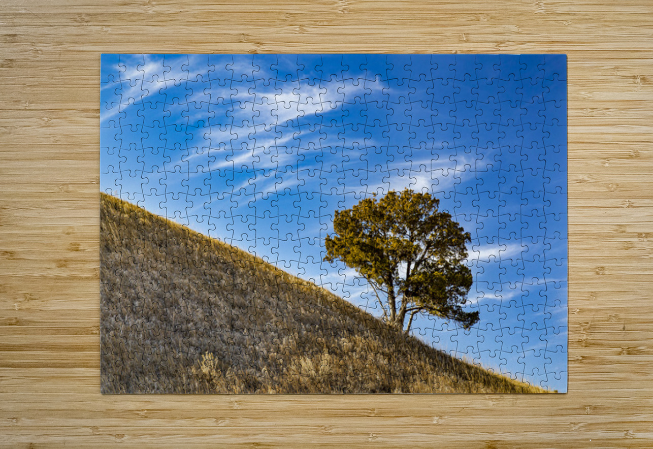 Slanted Tree Kelley McClure Puzzle printing