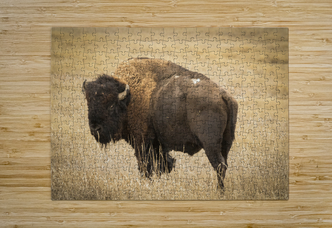 Bison of The Badlands Kelley McClure Puzzle printing