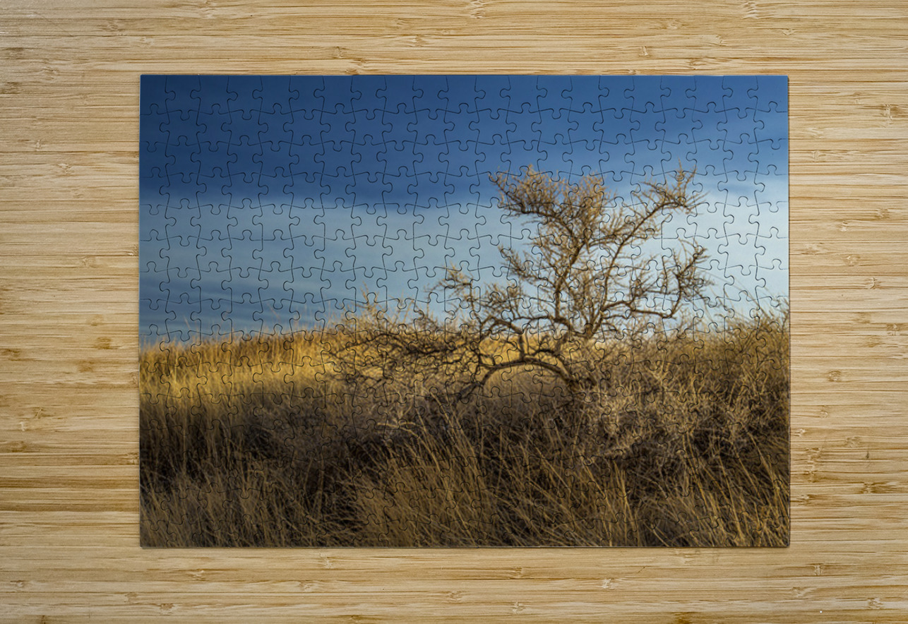 Brush In The Badlands Kelley McClure Puzzle printing