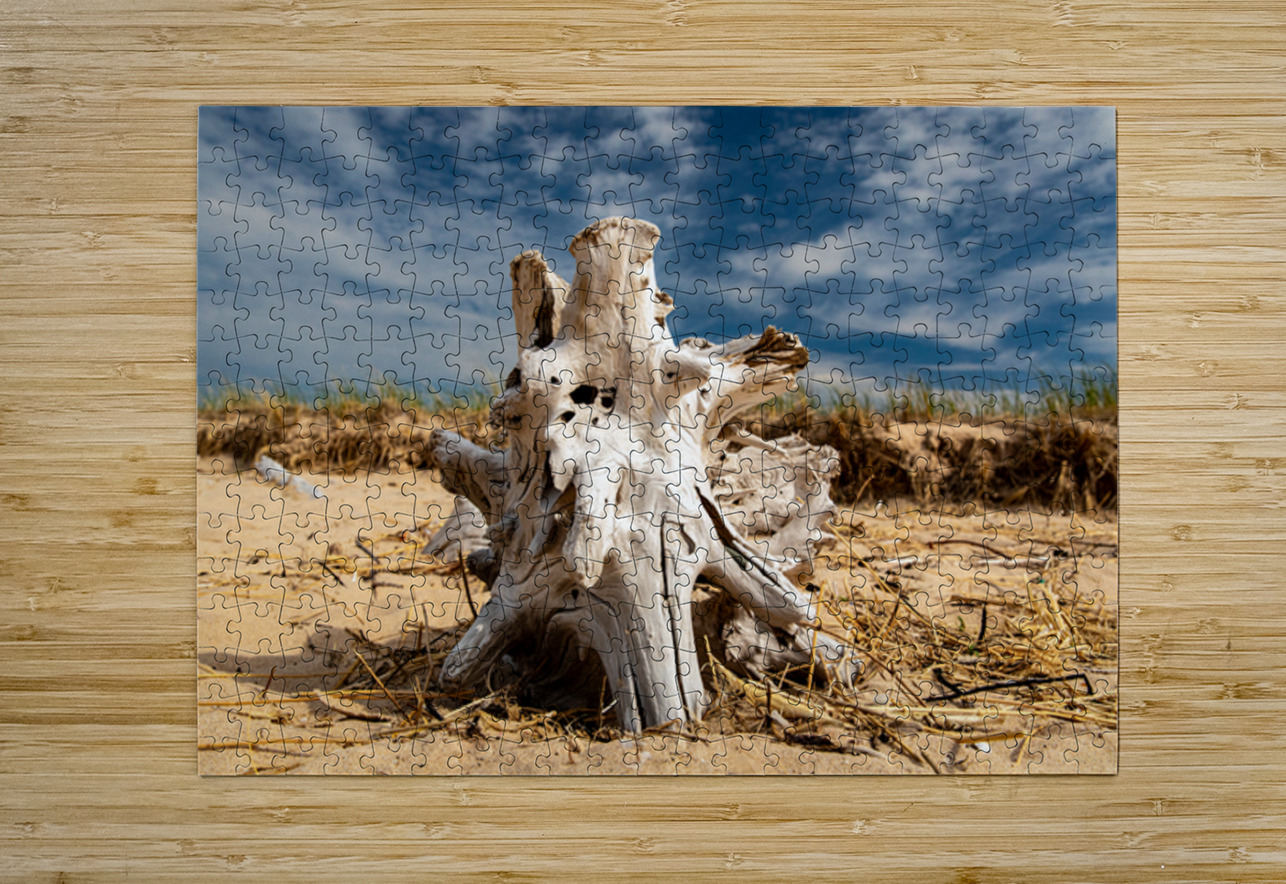 Driftwood ON the Beach Kelley McClure Puzzle printing