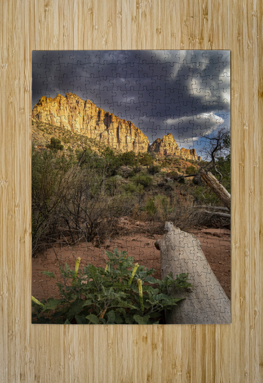 The Watchman of Zion Kelley McClure Puzzle printing