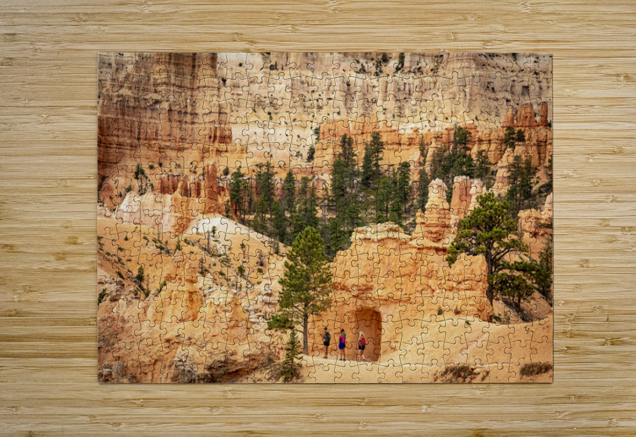 The Pathways of Bryce Kelley McClure Puzzle printing