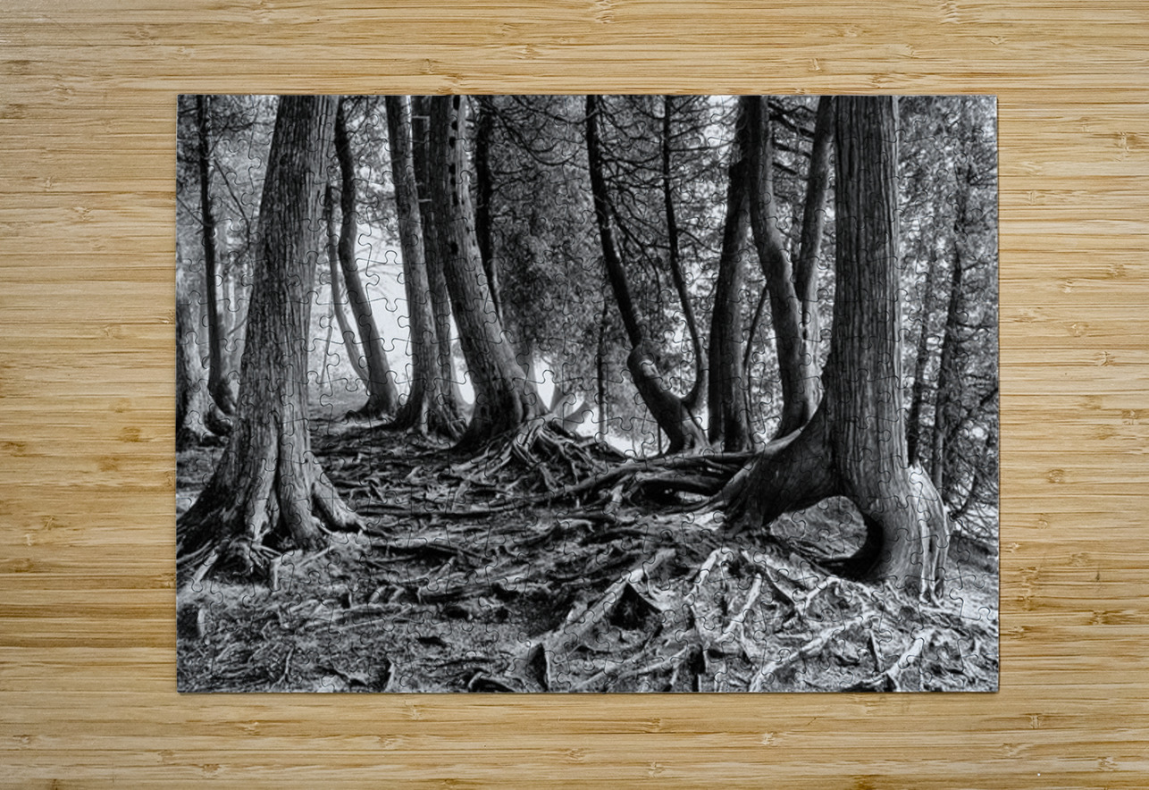 Roots Kelley McClure Puzzle printing