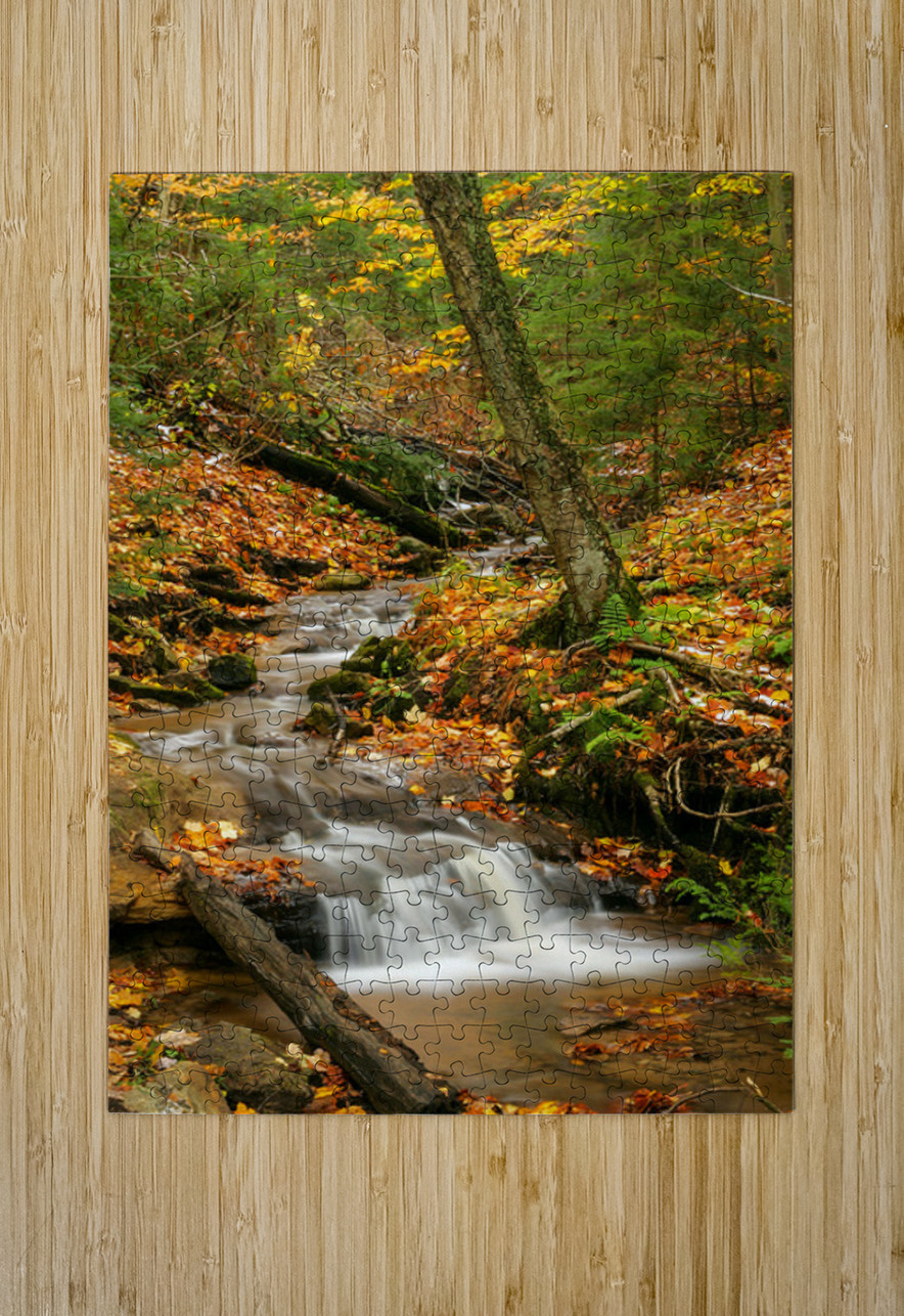 Streams of Michigan Kelley McClure Puzzle printing