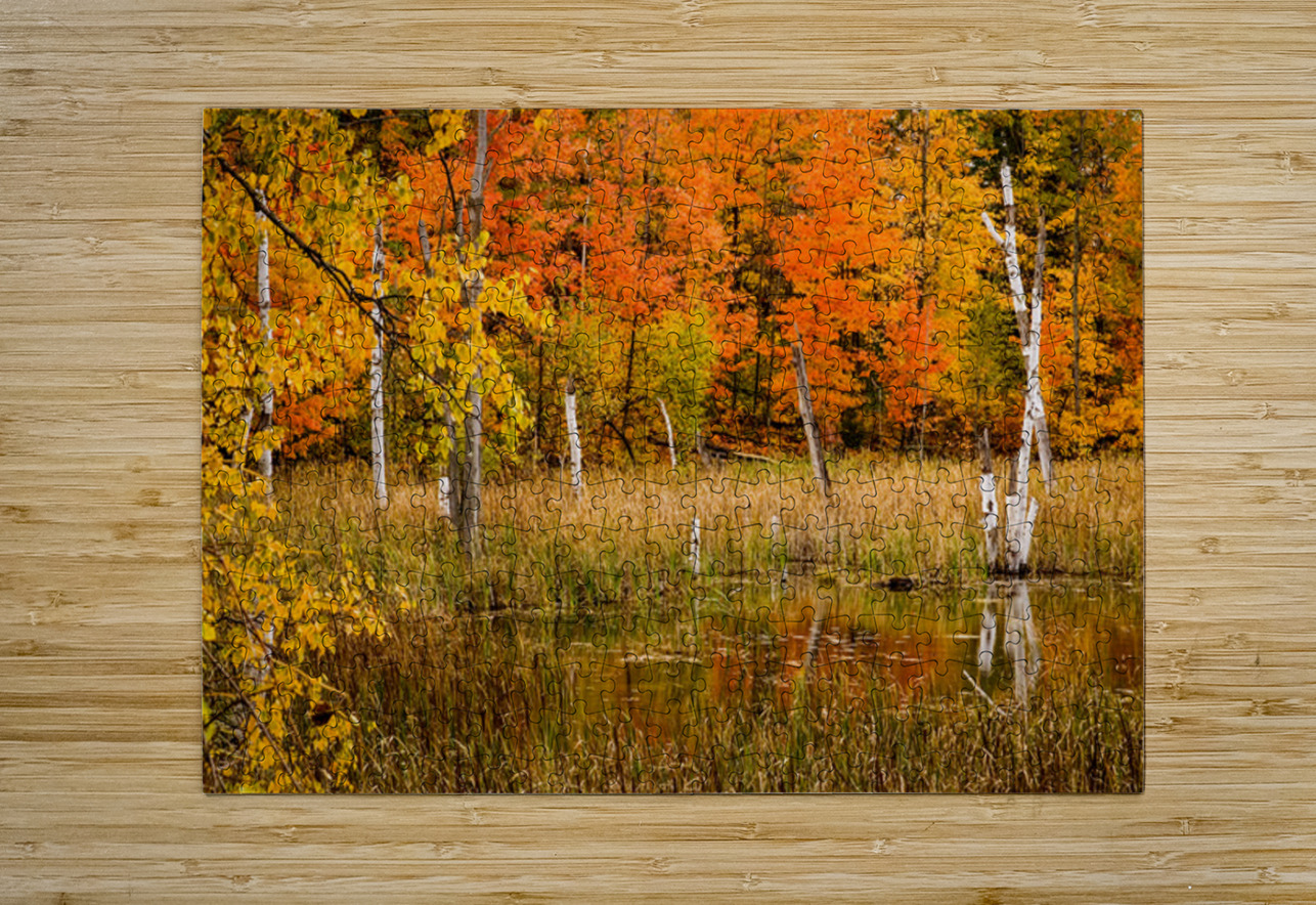 Fall of Colors Kelley McClure Puzzle printing