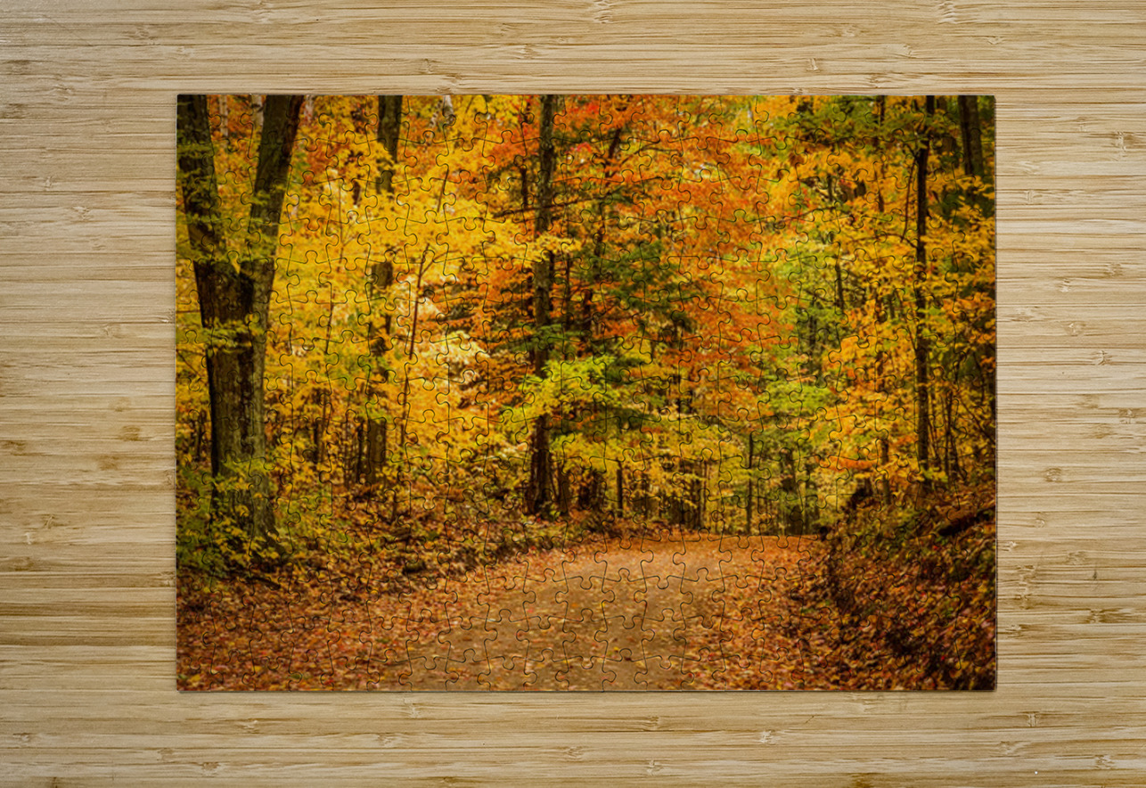 Road to Fall Kelley McClure Puzzle printing