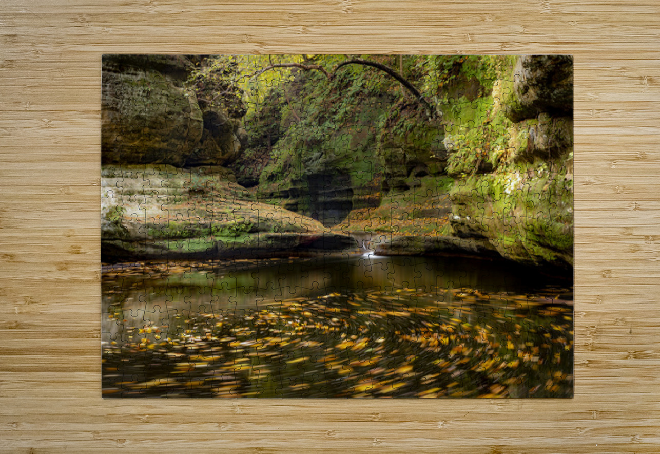 Fall In the Canyon Kelley McClure Puzzle printing