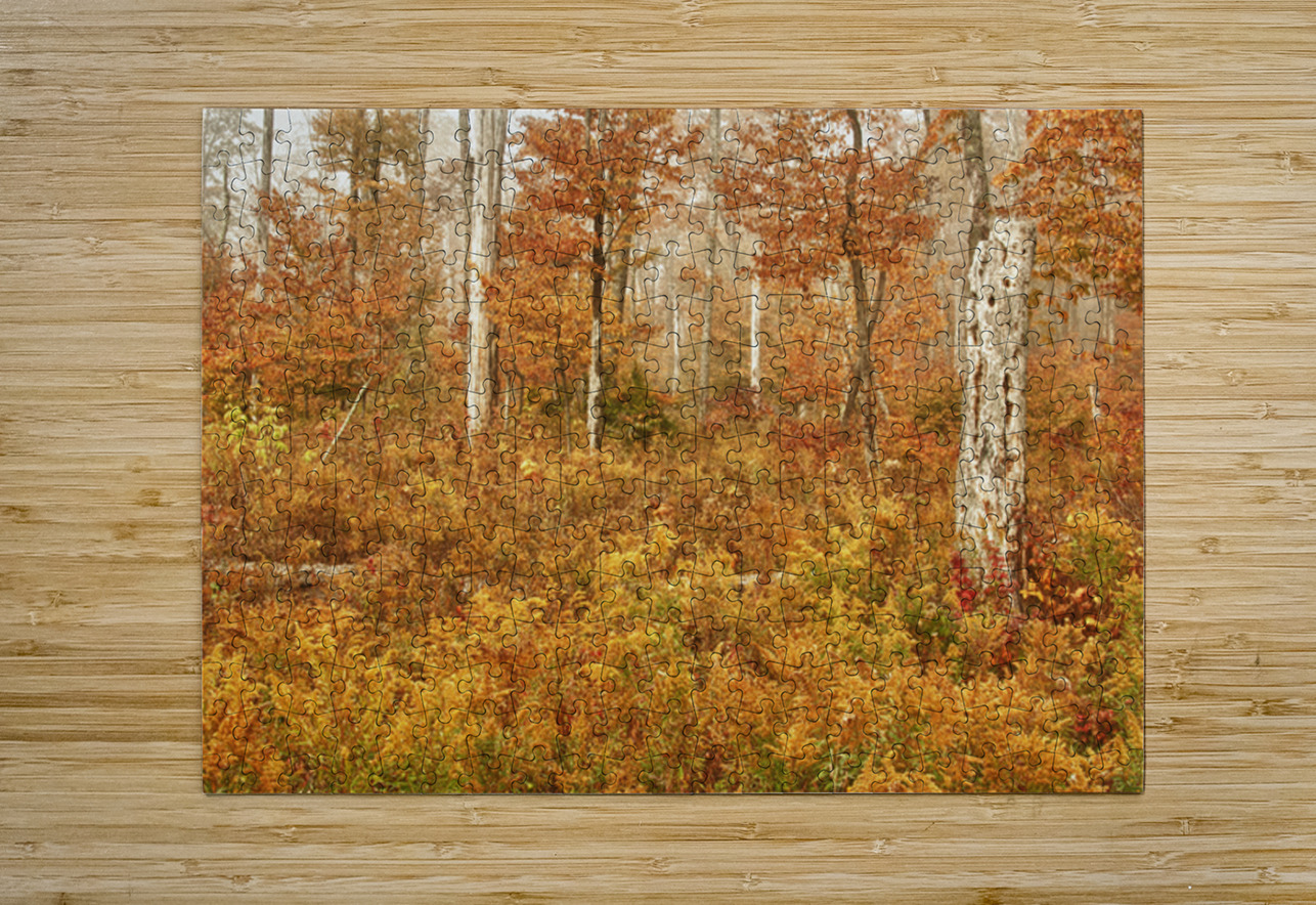 Fall Nature In Door County Wisconsin Kelley McClure Puzzle printing