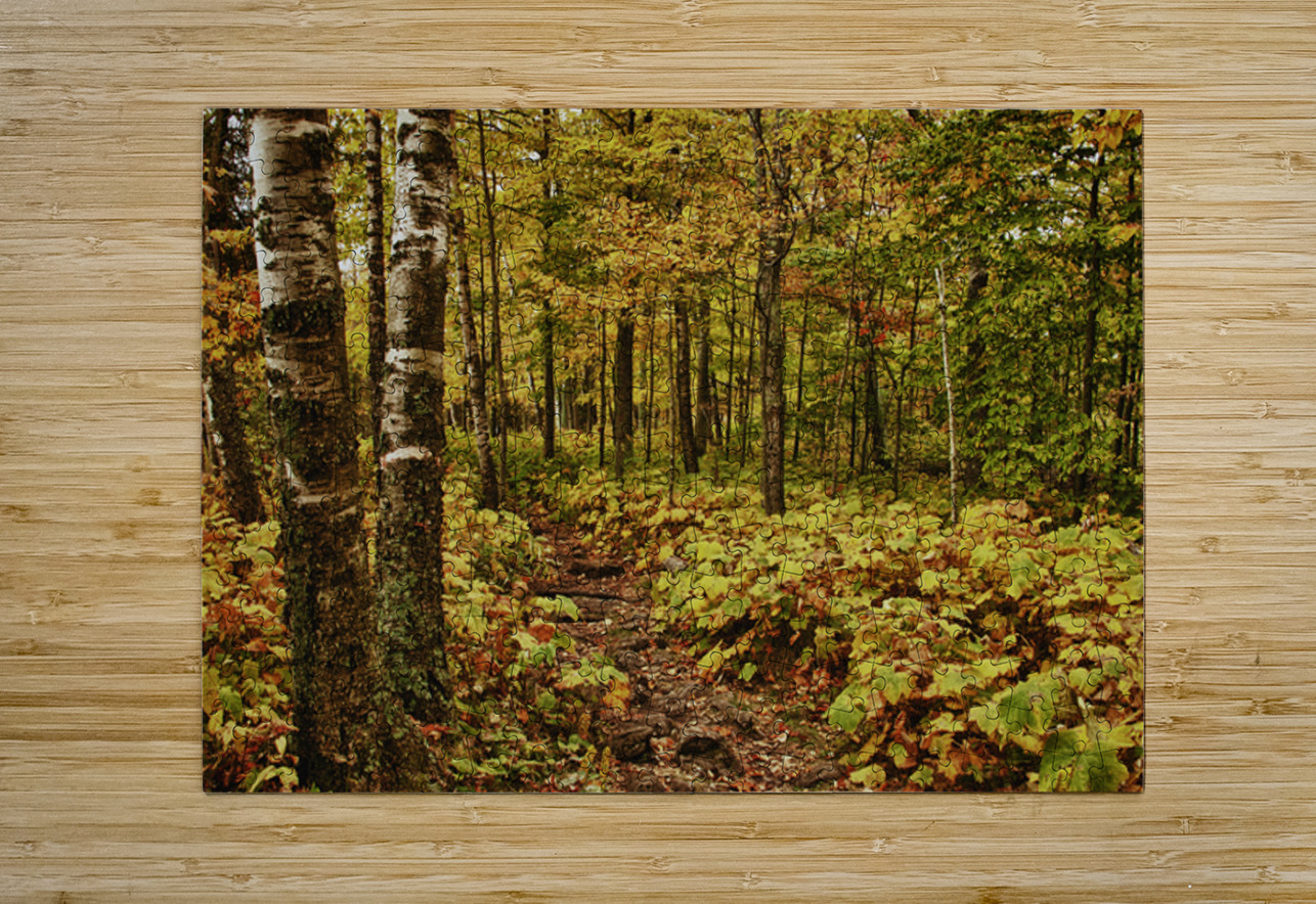 Wisconsin Fall Walk Kelley McClure Puzzle printing