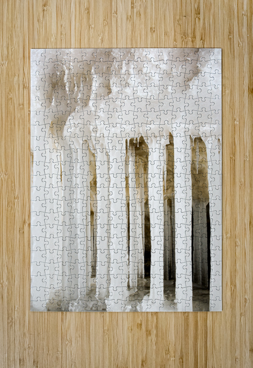 ICE JAIL Kelley McClure Puzzle printing