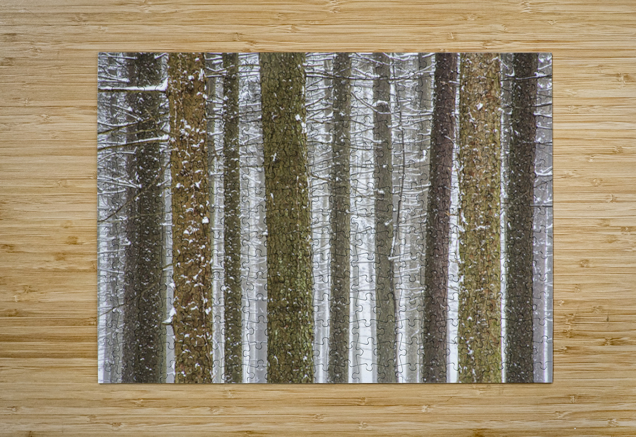 Winter Pine Forest Kelley McClure Puzzle printing